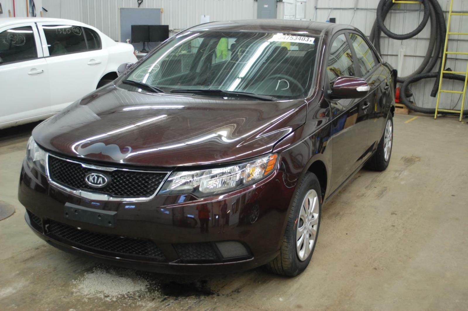 2010 FORTE PWR DISTRIBUTION ECU 919502H510
