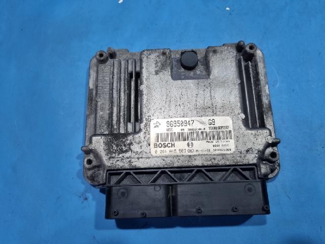 2009 Chevrolet Winstorm (Captiva) ECU OEM 96950947