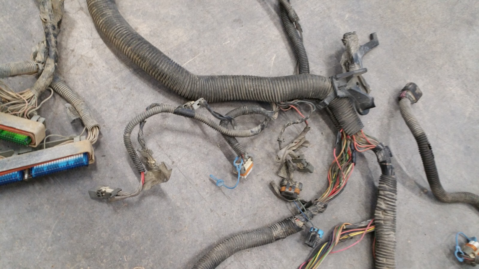 LS LSX LS1 5.3 5.7 6.0 Auto Trans DBW Engine Bay Engine Harness for Cutdown Swap