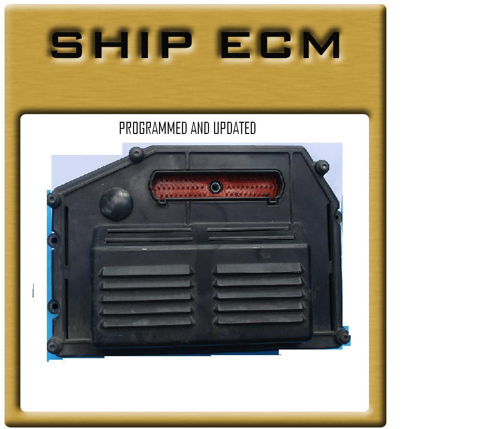fit 1994 1995 JEEP CHEROKEE 4.0L ECM MT 5SP PLUG AND PLAY programmed with 1y