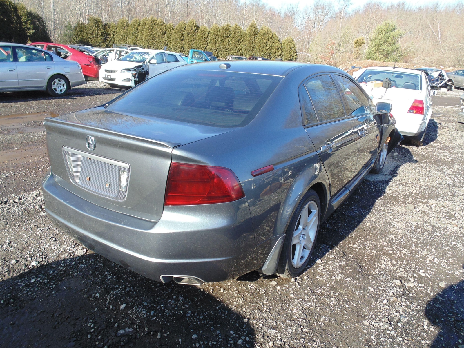 06 ACURA TL Chassis Brain Box