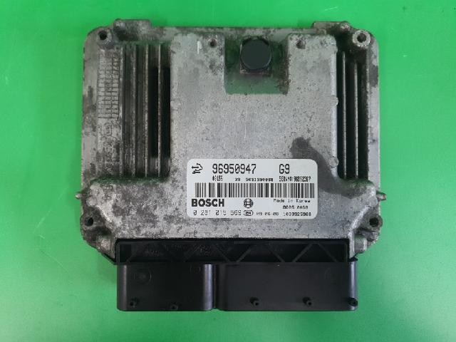 2009 Chevrolet Winstorm (Captiva) ECU OEM 96950947
