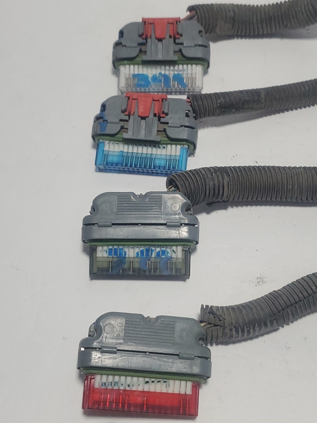 1996 Impala Corvette Camaro Caprice 5.7L LT1 ECU Wiring Harnness Plugs 16214399