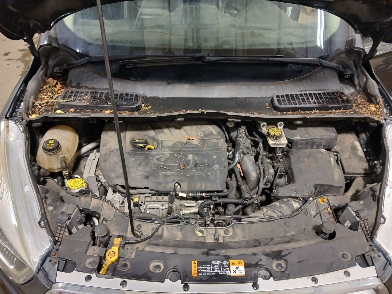 Engine ECM Electronic Control Module 1.5L Fits 17-19 ESCAPE 2940413