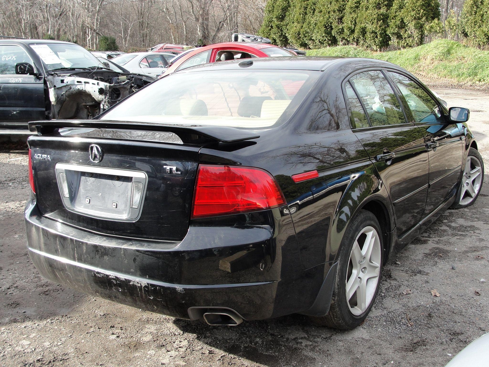 04 ACURA TL Chassis Brain Box