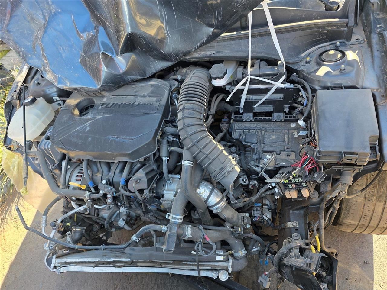 Engine ECM Electronic Control Module 1.6L Turbo Dct Fits 22-23 FORTE 29903631