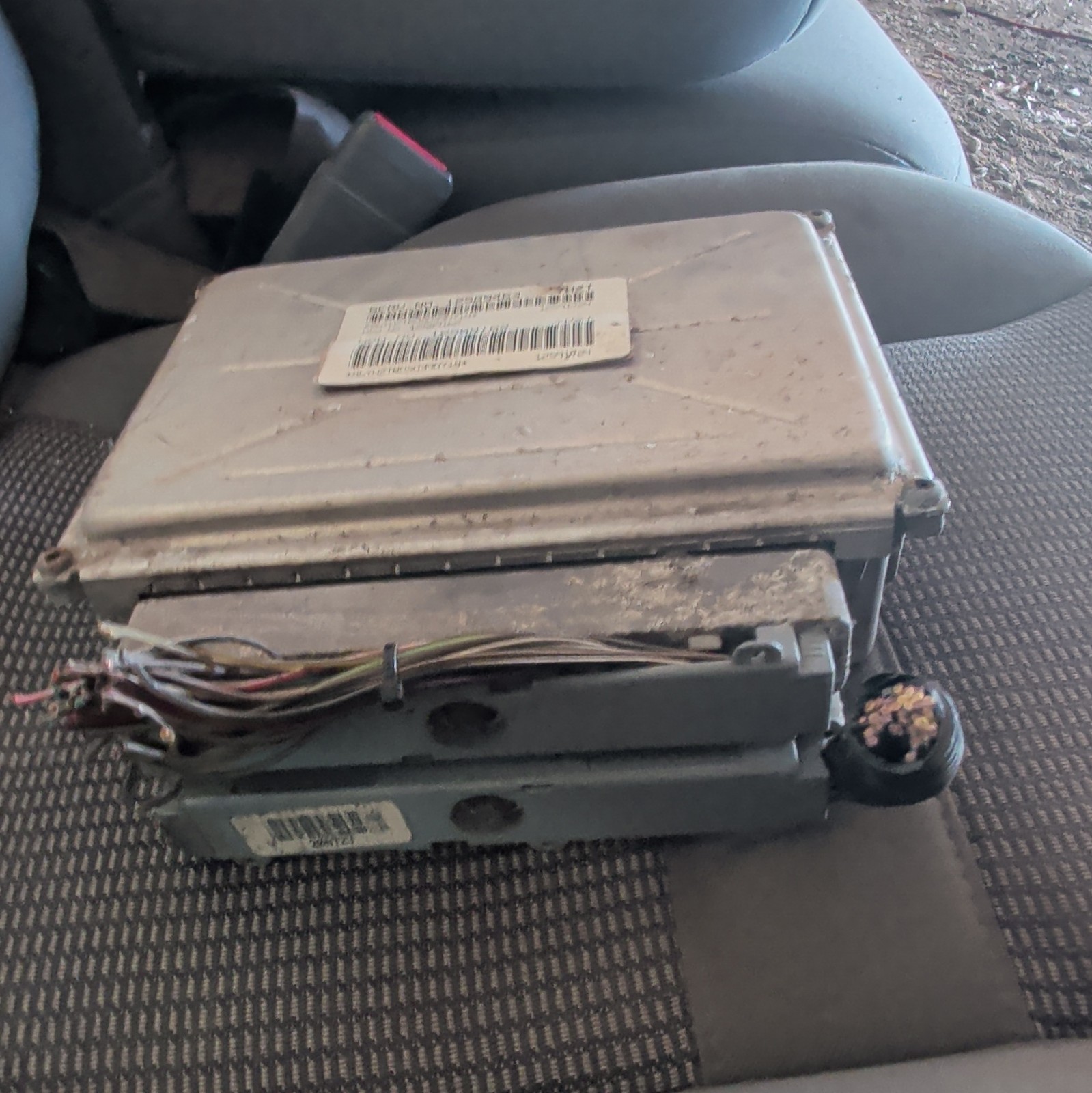 P59 ecu