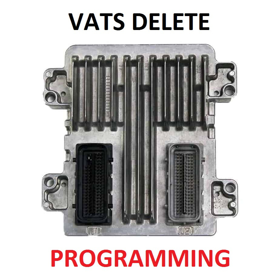 VATS Anti-theft Delete PCM Service for 06-14 GM E38 PCM Silverado GTO Camaro