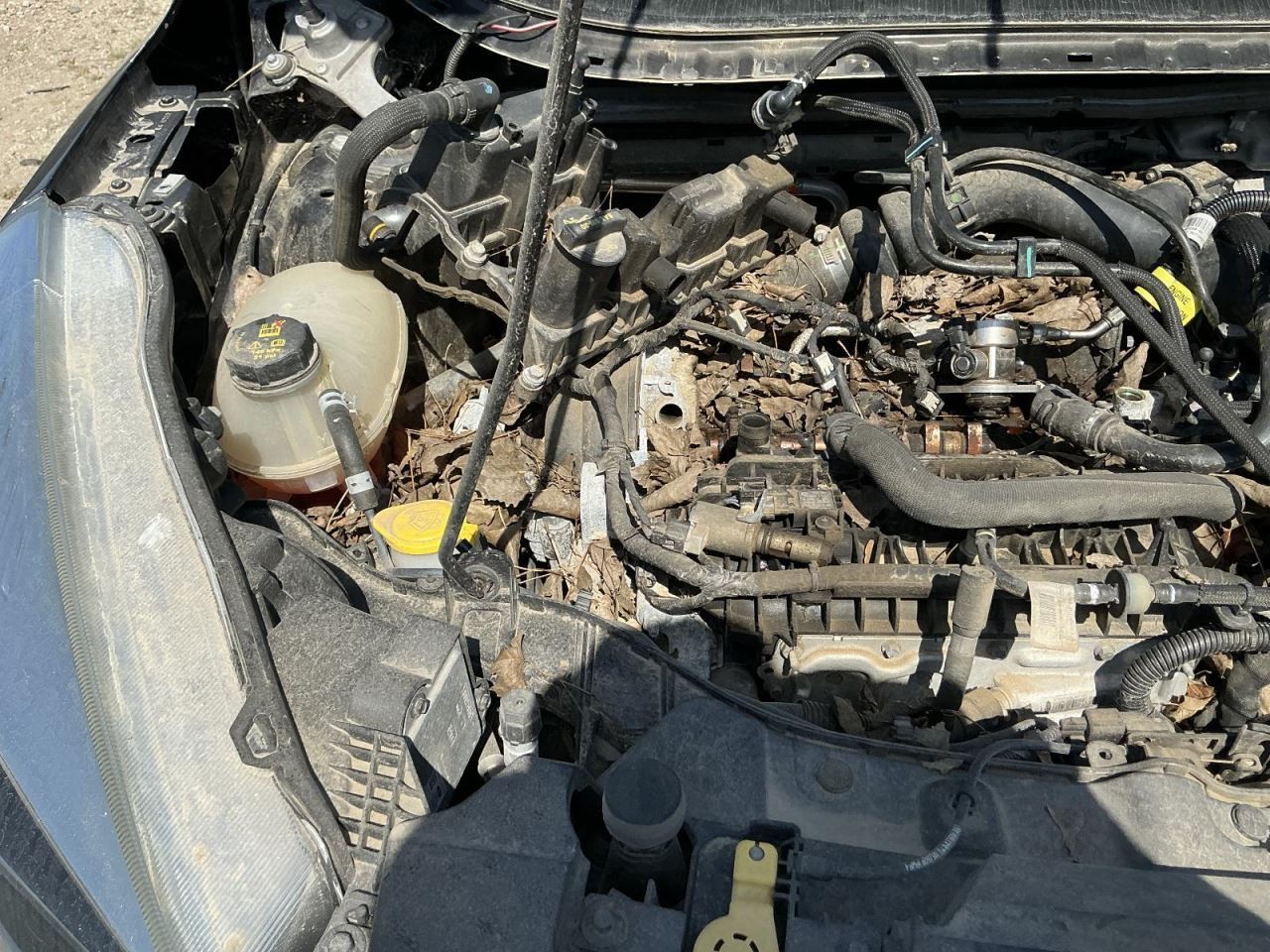 Engine ECM Electronic Control Module 1.5L Fits 17-19 ESCAPE 862558