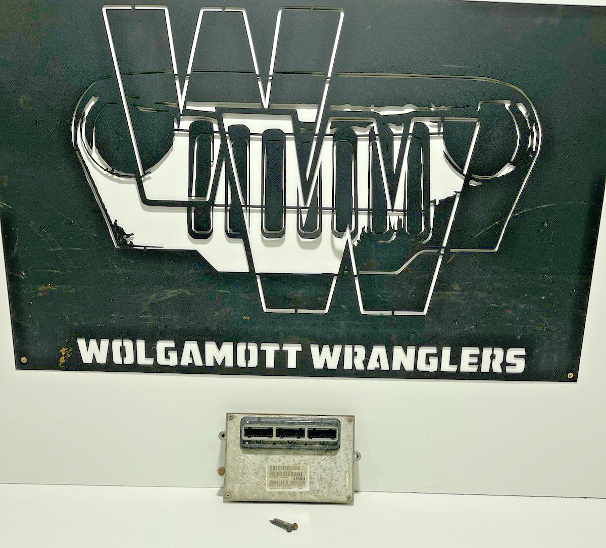 04 Jeep TJ Wrangler 4.0 Automatic Engine Control Module ECM PCM ECU 56044478AD