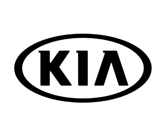 Hyundai / KIA ECM ECU MAIL IN Cloning SERVICE / Plug and Play Bosch/Siemens/Cont