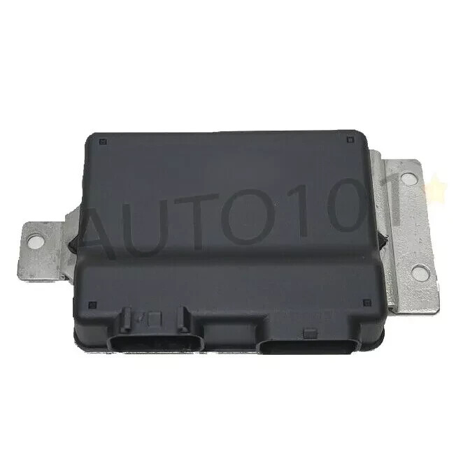 2007 Express Savanna TAC Throttle Control Module 4.8 5.3 6.0 12590009 GM